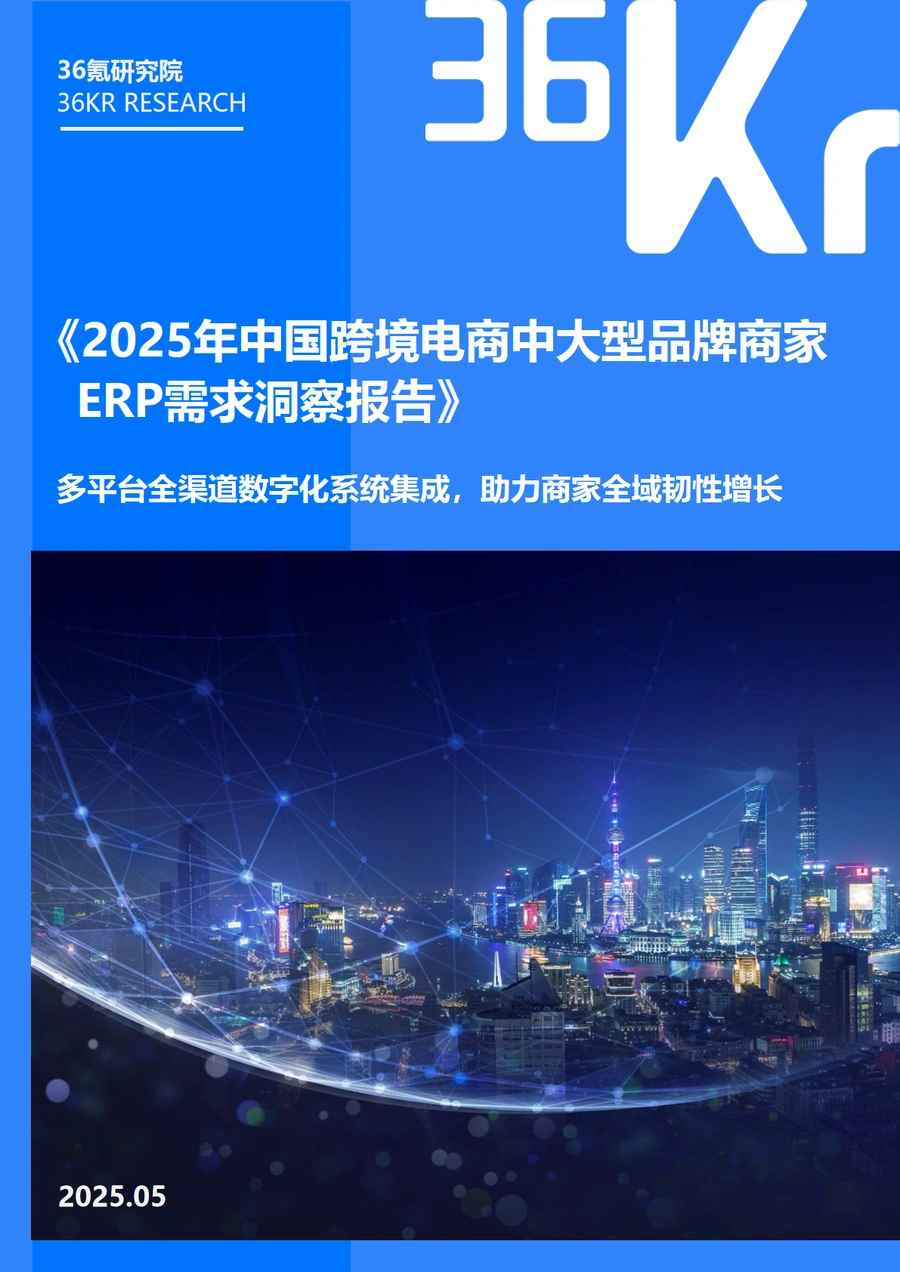 2025年中国跨境电商中大型品牌商家ERP需求洞察报告-41页