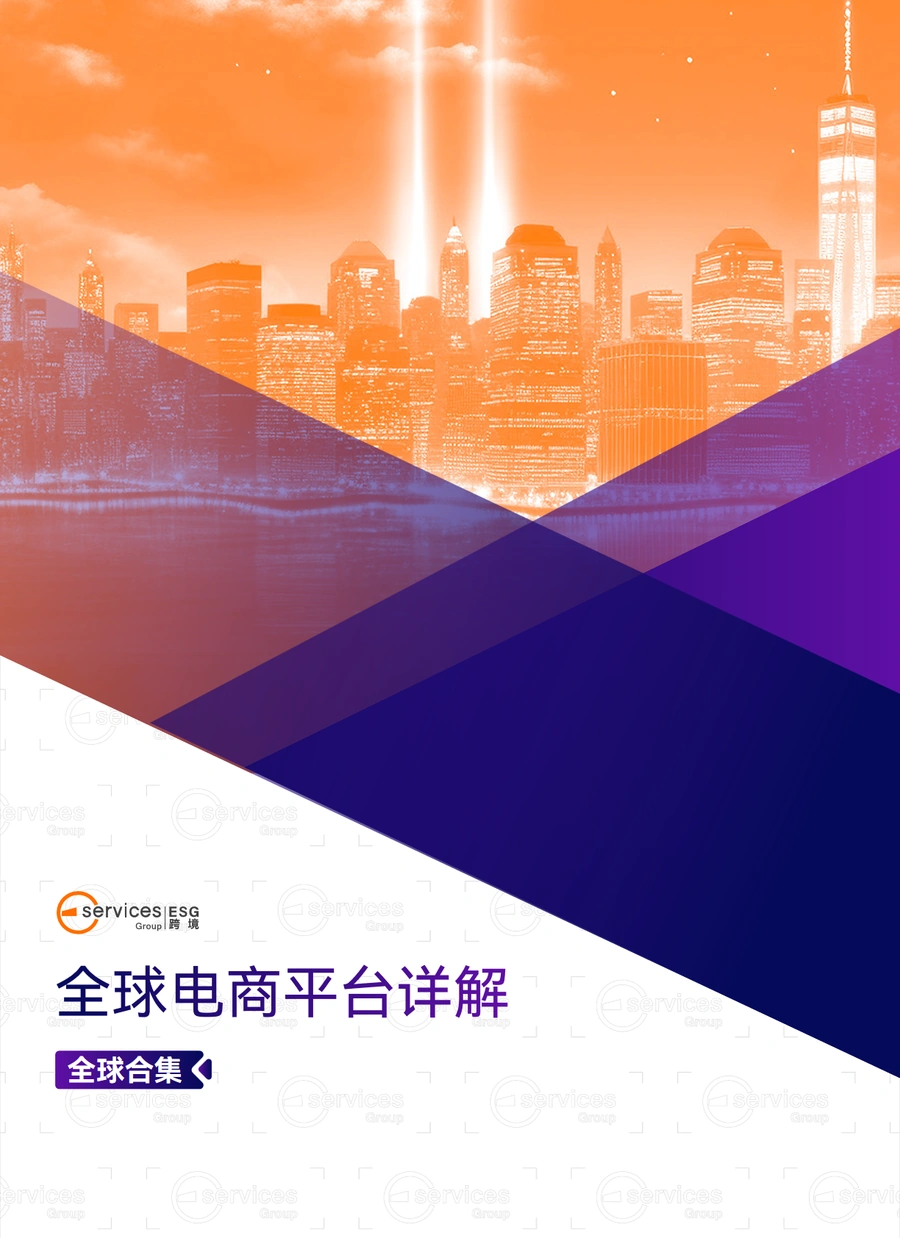 全球电商平台详解-102页