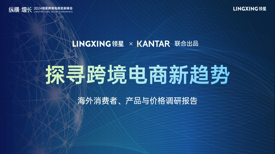 2024年海外消费者产品与价格调研报告-42页