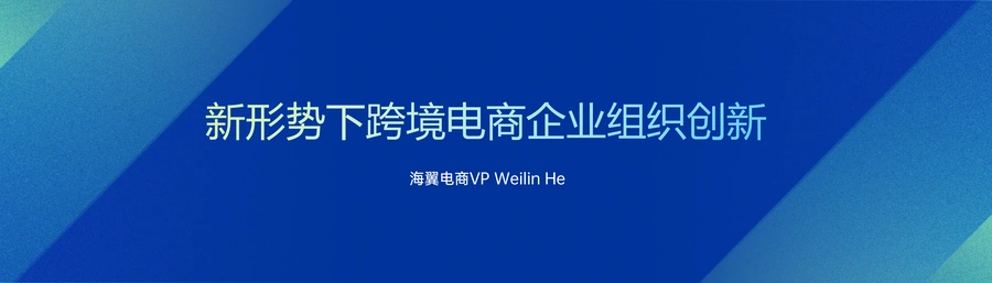 跨境电商企业组织能力构建与创新实战指南-25页