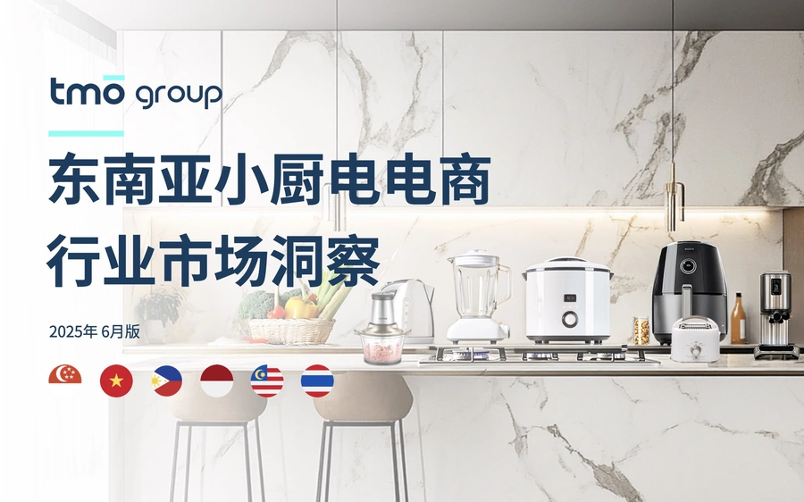 2025东南亚小厨电电商行业市场洞察报告-36页
