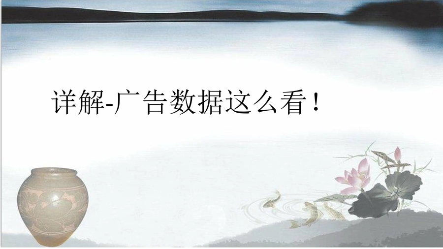 跨境电商广告数据分析与优化指南-20页