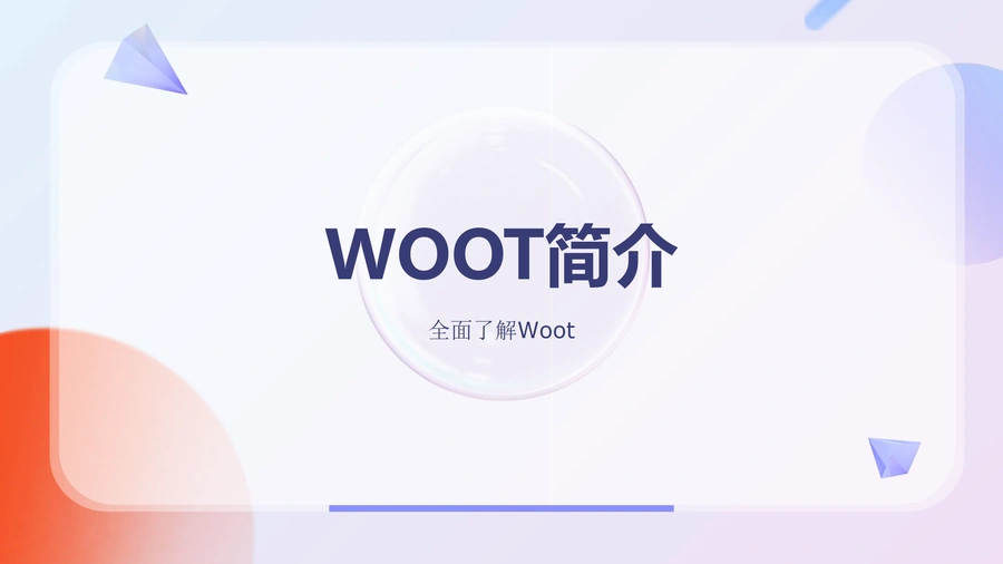 Woot平台跨境电商运营全攻略2023-28页