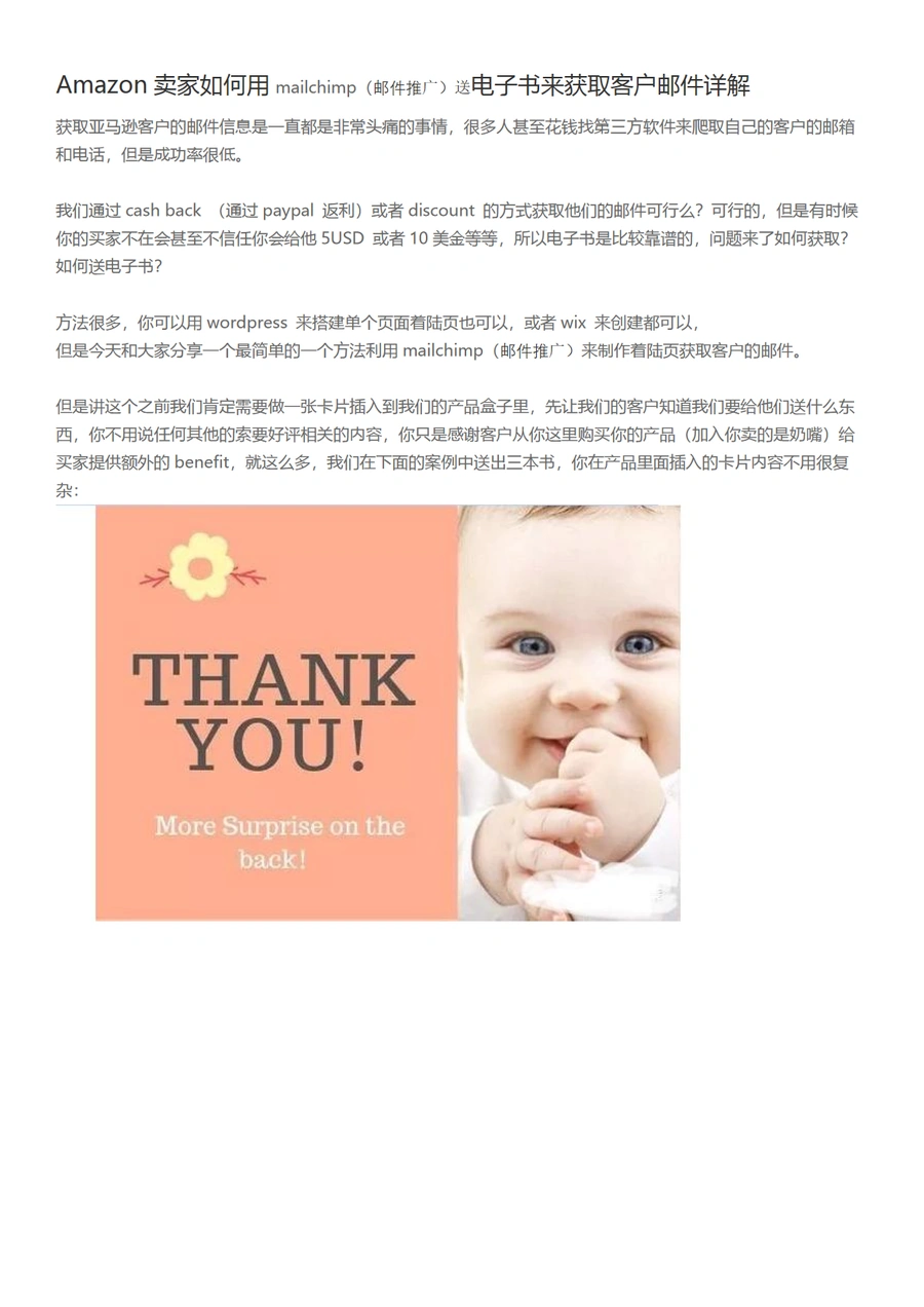 Amazon卖家利用Mailchimp送电子书获取客户邮件指南-7页