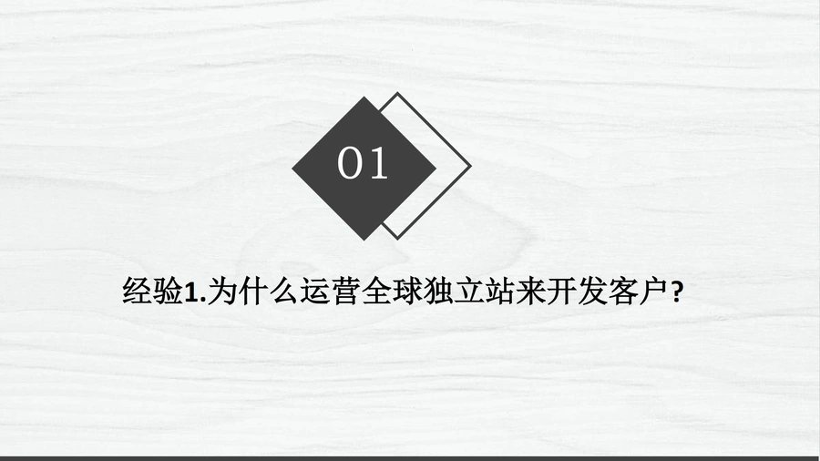 16个全球独立站运营经验分享-80页