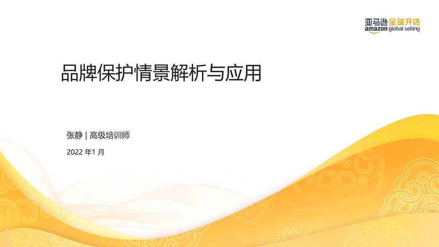 亚马逊品牌保护情景解析与应用指南-47页