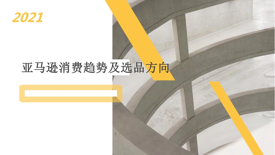 2021亚马逊热门消费趋势及选品方向-14页