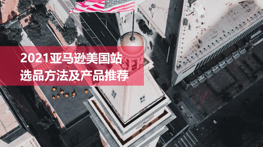 2021亚马逊美国站选品方法及产品推荐-14页