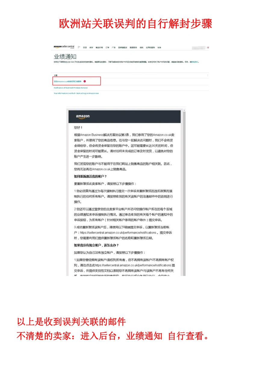 2023年亚马逊欧洲站关联误判自行解封指南-10页