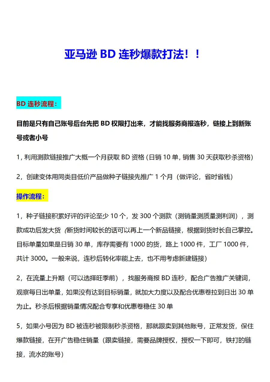 2024亚马逊BD连秒爆款打法全解析-4页