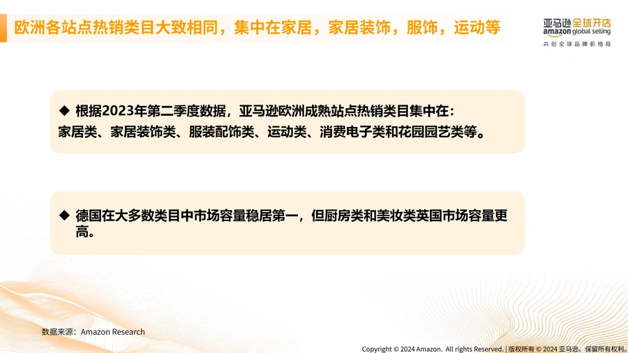 2024年第二季度亚马逊欧洲站选品趋势分析及推荐-文章简介图