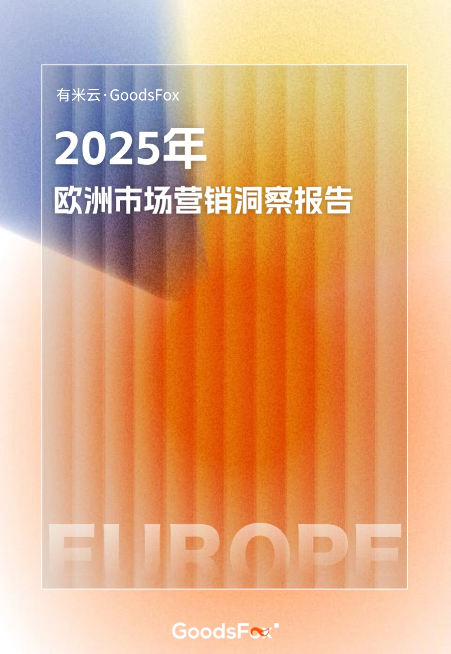 2025年欧洲跨境电商市场洞察与营销策略报告-23页