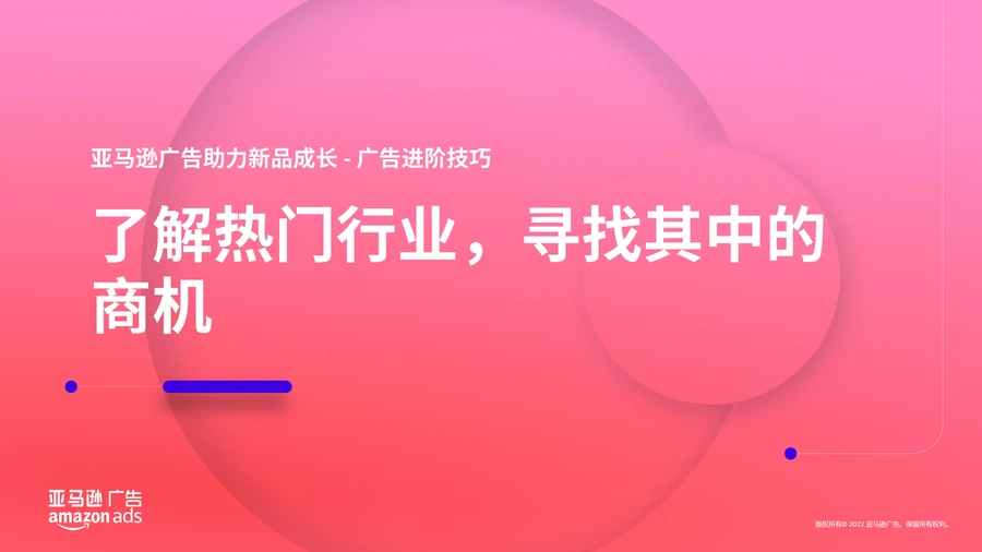 亚马逊广告进阶技巧与热门行业商机指南-29页