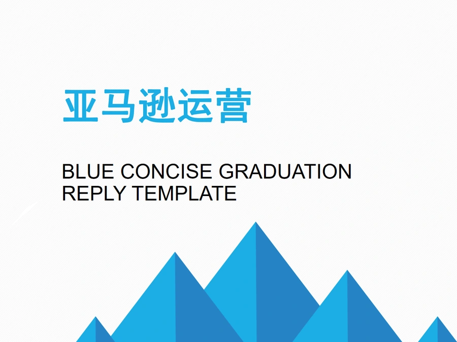 亚马逊运营考核及日常维护操作指南-48页