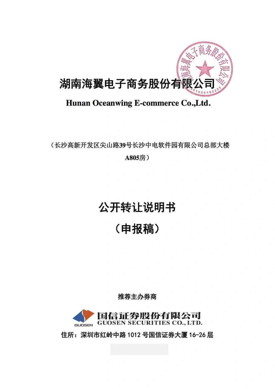 Anker财务报表分析及跨境电商运营策略-176页