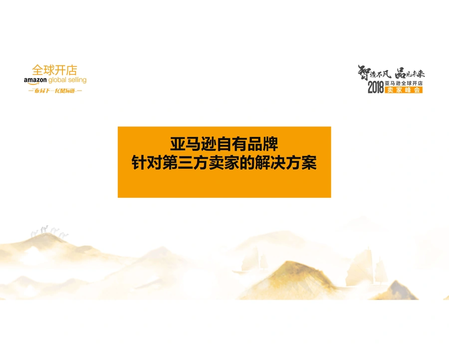 亚马逊自有品牌项目深度解析与运营指南-17页
