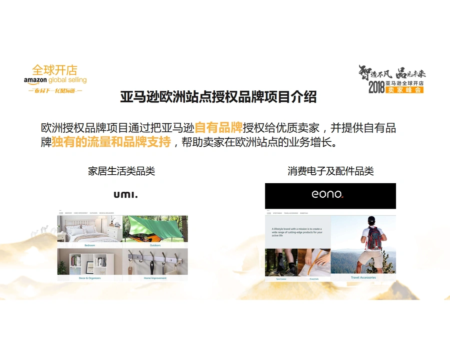 亚马逊自有品牌项目深度解析与运营指南-文章简介图