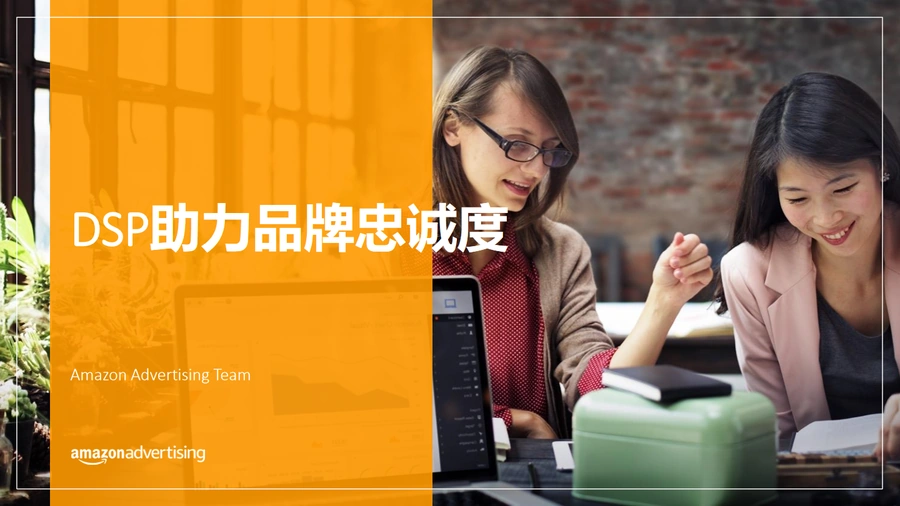亚马逊DSP广告提升品牌忠诚度与复购率实战指南-33页
