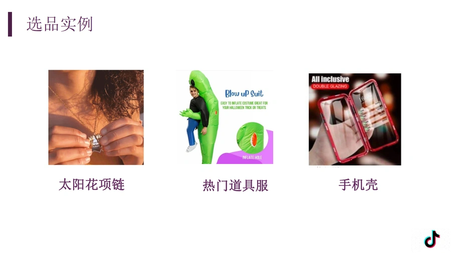 TikTok跨境电商选品指南2025-文章简介图