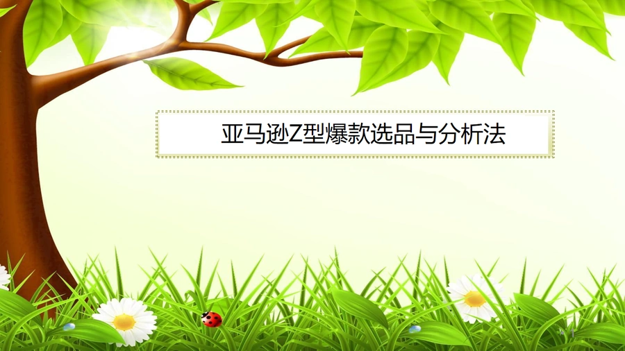 亚马逊Z型爆款选品与运营全攻略-15页