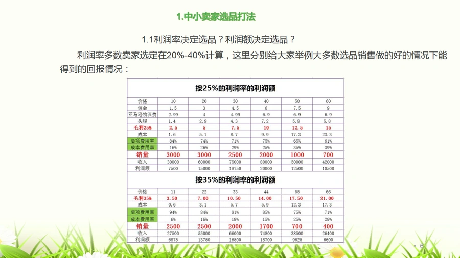 亚马逊Z型爆款选品与运营全攻略-文章简介图