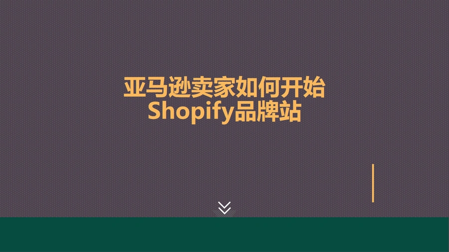 亚马逊卖家如何开始Shopify品牌站-27页