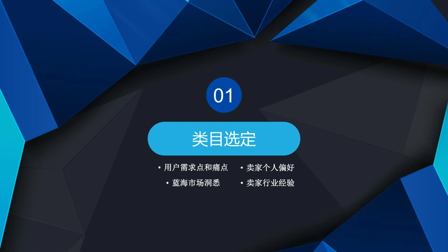 亚马逊大卖选品思路与市场分析-文章简介图
