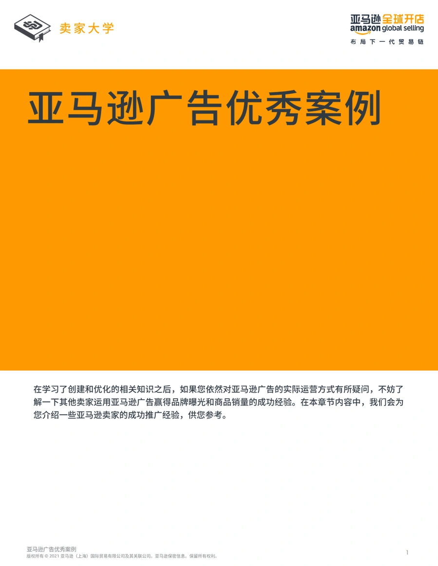 亚马逊广告优秀案例解析与实战指南-12页