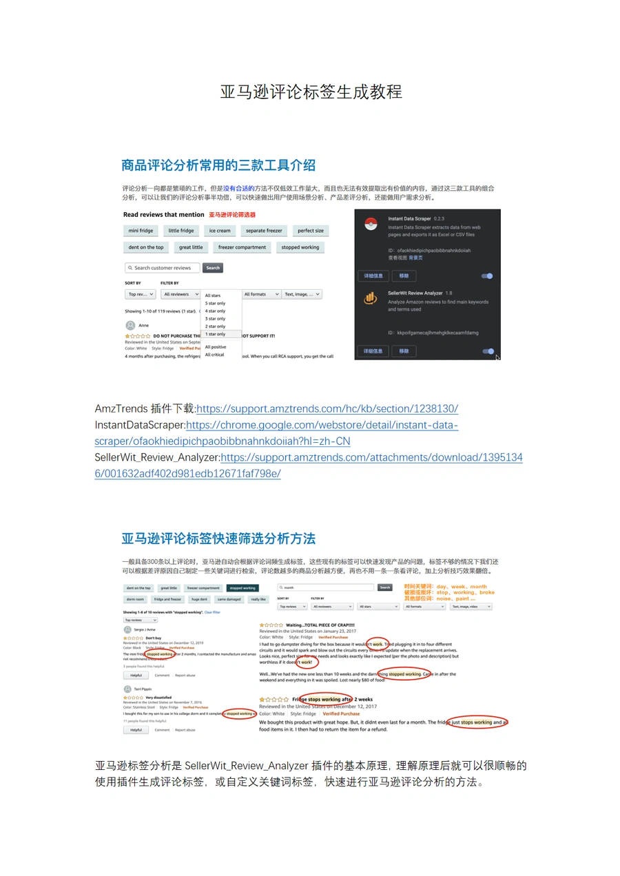 亚马逊评论标签生成教程-3页