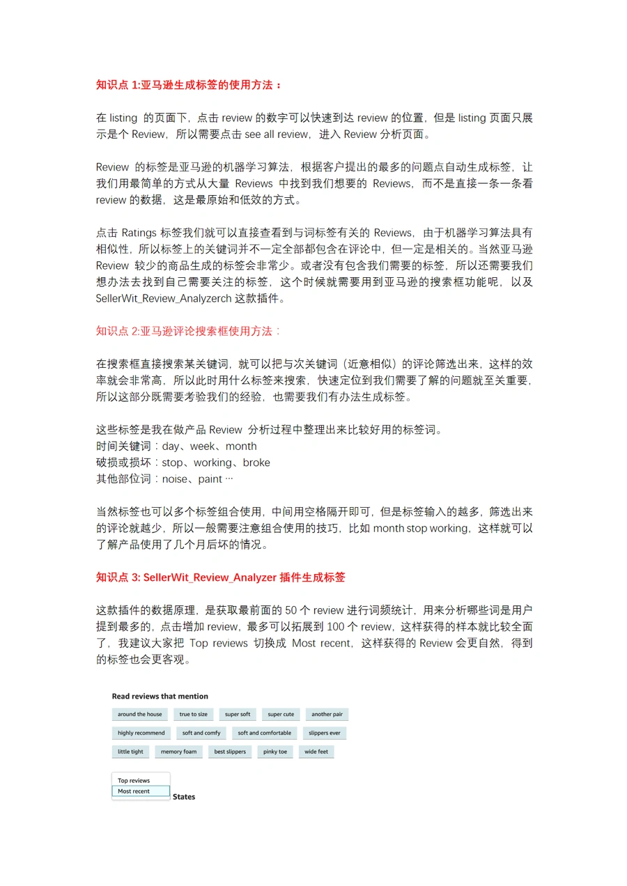 亚马逊评论标签生成教程-文章简介图