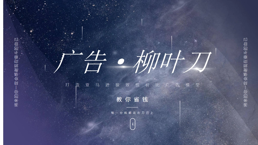 亚马逊柳叶刀广告模型实战指南-76页