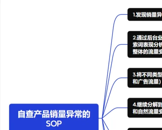 跨境电商销量异常分析与优化SOP指南-109行-1个子表