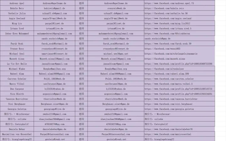 德国站168个真实测评资源（含邮箱和Facebook链接）-183行-1个子表