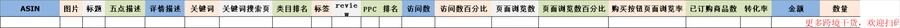 亚马逊选品数据统计表-2行-1个子表