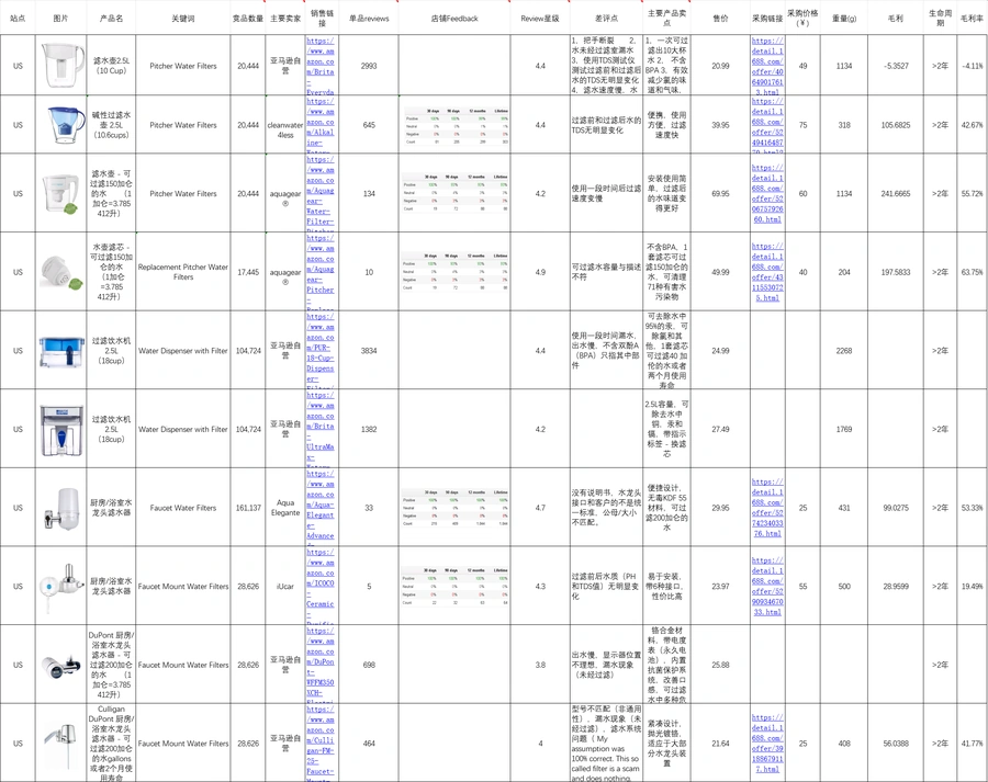 亚马逊滤水器产品开发案例与市场分析-182行-10个子表