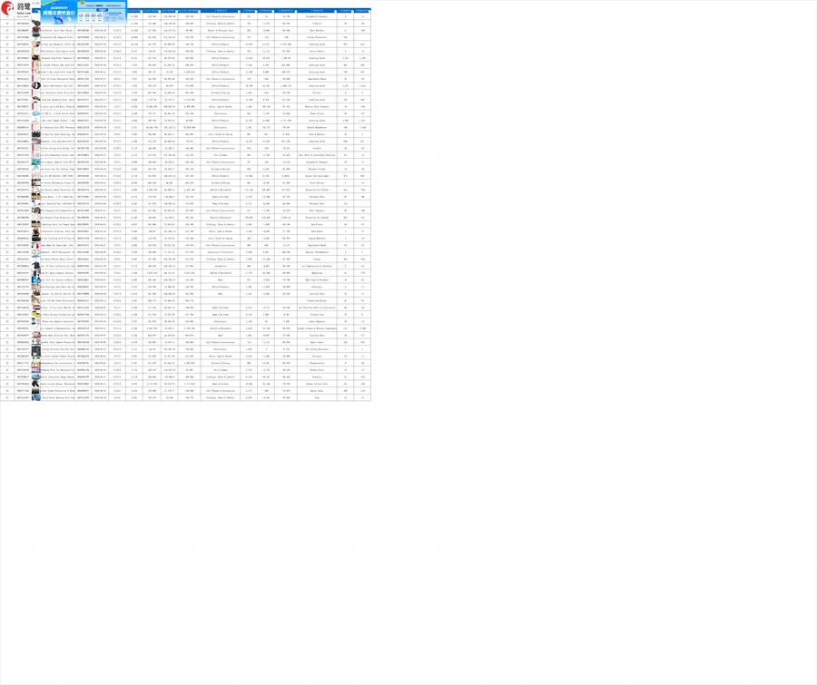 亚马逊美国站2024年6月飙升新品TOP1000-1003行-2个子表