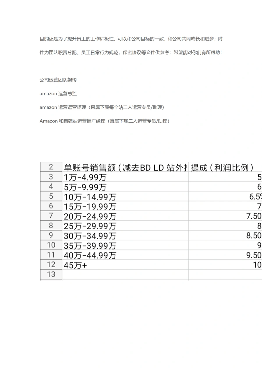 跨境电商运营团队架构与绩效管理指南-4页