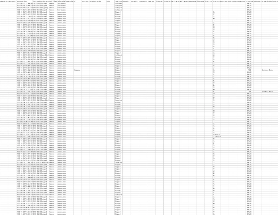 亚马逊订单数据透视分析表-657行-4个子表