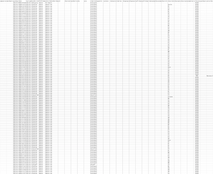 亚马逊订单时间与地区分析-3079行-4个子表
