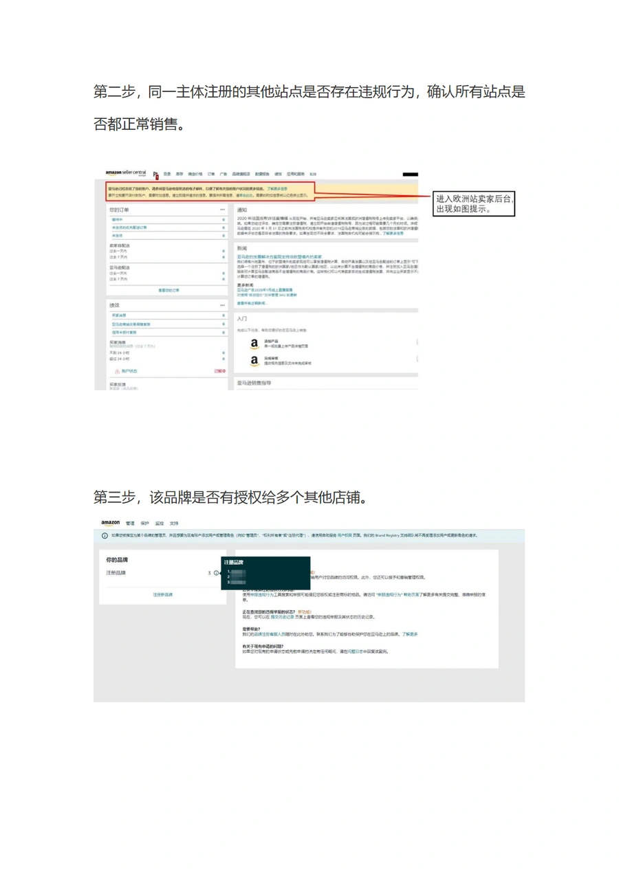 亚马逊品牌滥用问题处理建议指南-文章简介图
