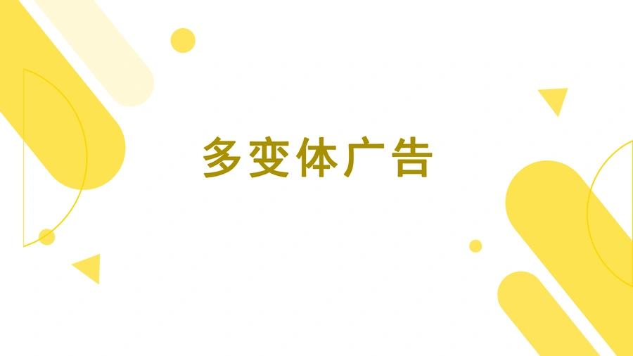 多变体ASIN卖家常用的广告打法-9页