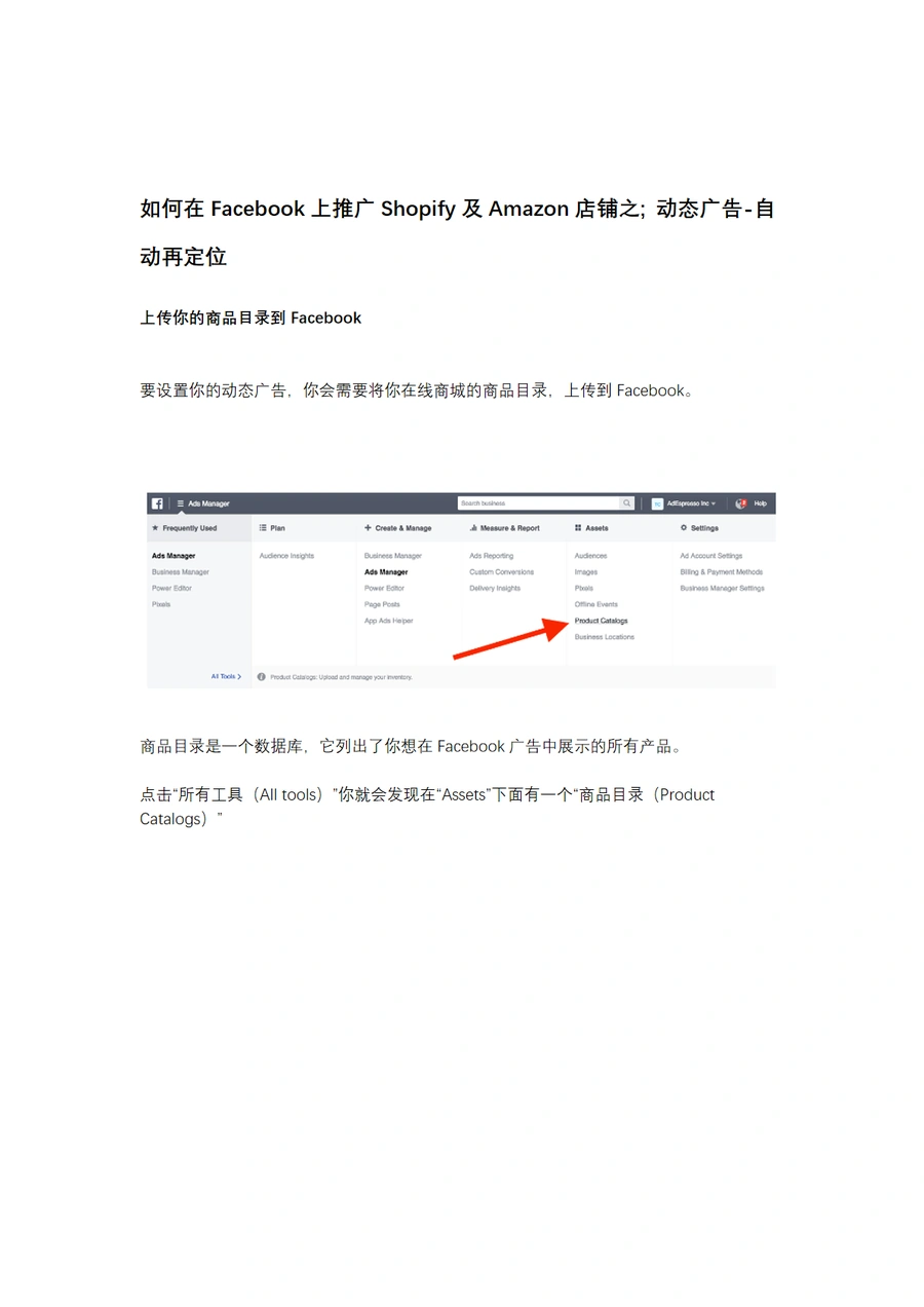 Facebook动态广告自动再定位指南：Shopify与Amazon店铺推广实战-10页