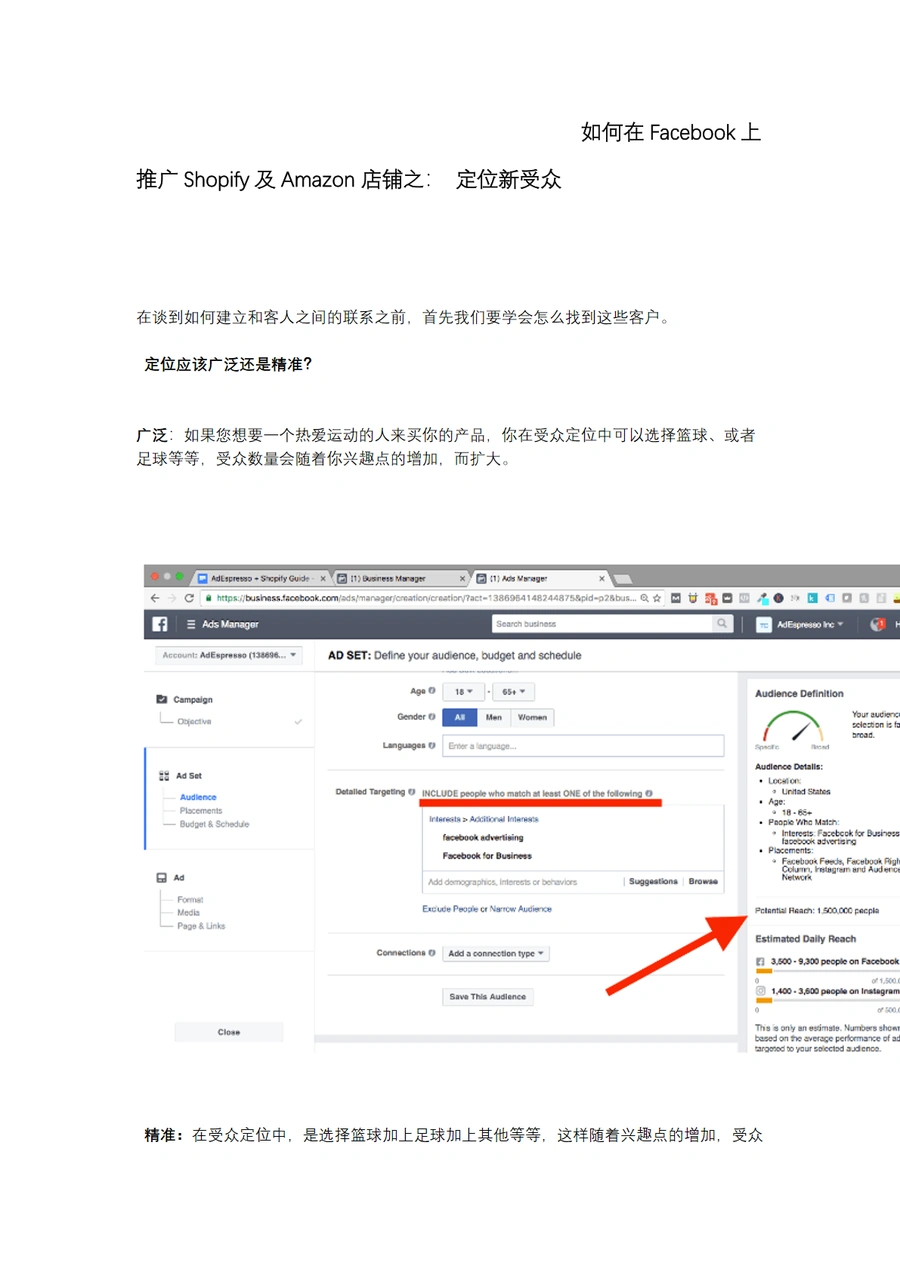 Facebook推广Shopify及Amazon店铺之定位新受众指南-6页