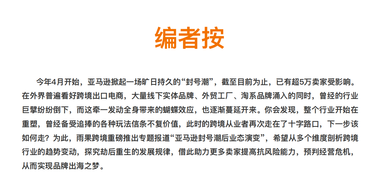 亚马逊封号潮下行业趋势与应对策略深度分析-47页