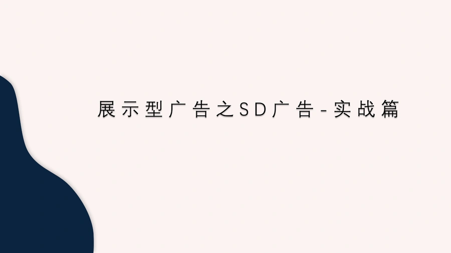 亚马逊展示型广告(SD)实战指南-24页