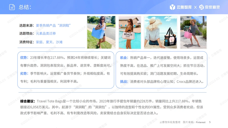 2025年旅行手提包市场分析报告-文章简介图