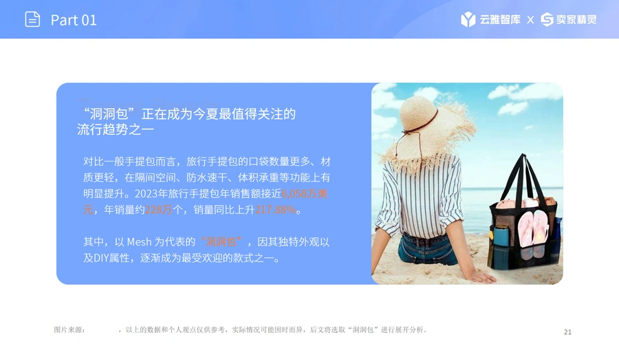 2025年旅行手提包市场分析报告-文章场景图