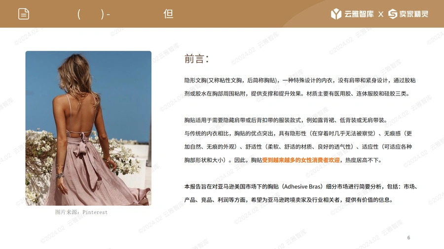 2024年亚马逊美国站隐形文胸(胸贴)市场分析报告-文章简介图
