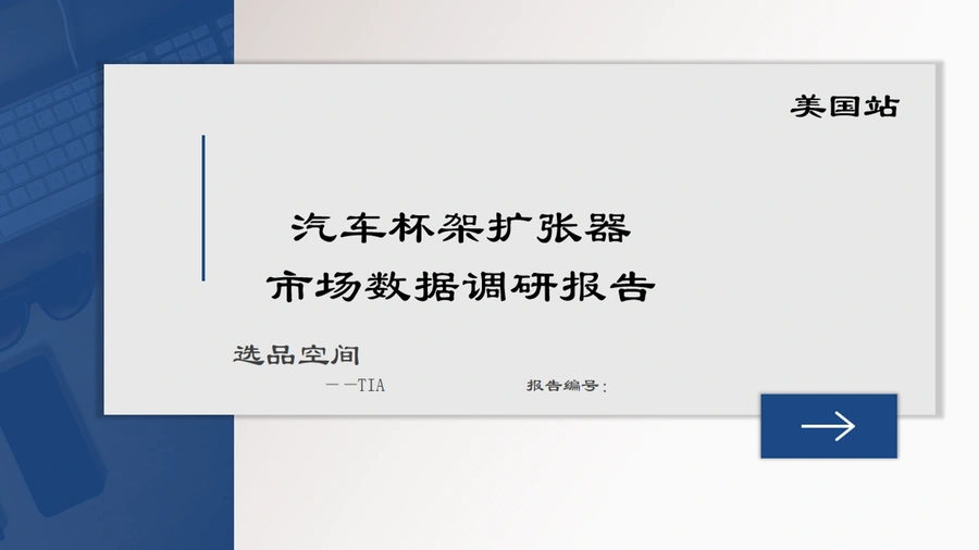 美国站汽车杯架扩张器市场数据调研报告-35页