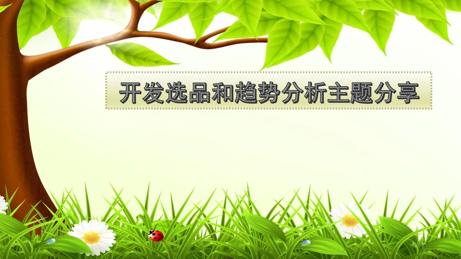 跨境电商开发选品与趋势分析实战指南-34页